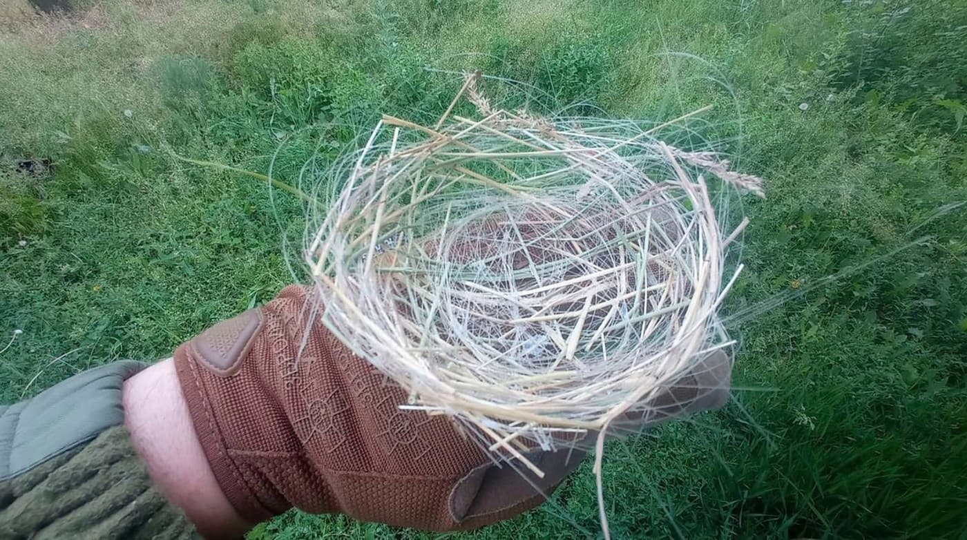 Conflictul din Ucraina remodelează mediul natural. Cuiburi de păsări din cabluri de fibră optică