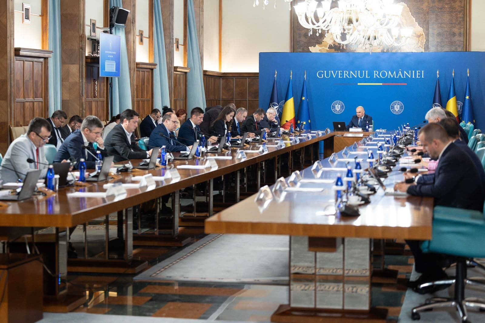 Guvernul a alocat 3,15 milioane de lei pentru neutralizarea animalelor moarte din gospodăriile populației