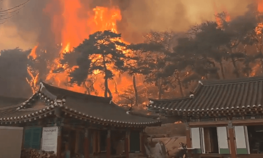 Un incendiu forestier face ravagii în Catalonia. 45.000 de persoane au fost sfătuite să rămână în casele lor