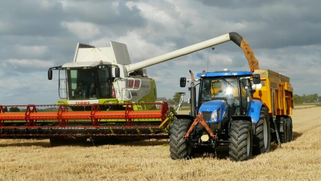 România ar putea avea cea mai mare recoltă agricolă din ultimii cinci ani. Producția estimată depășește 30 de milioane de tone