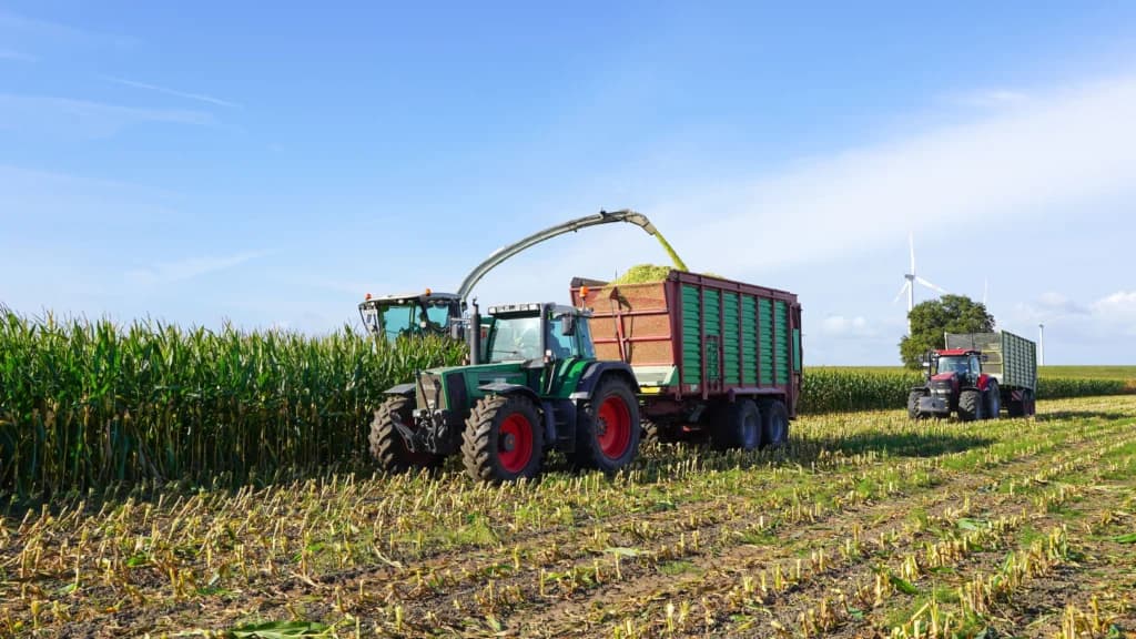 Scumpirea petrolului împinge țările spre biocombustibili. Experții avertizează: Lumea riscă o nouă criză alimentară