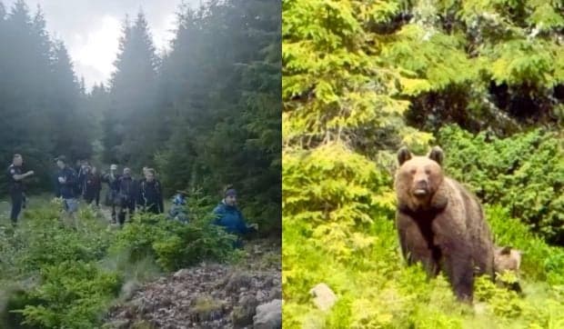 VIDEO 37 de turişti polonezi coborâţi de pe munte, în Suceava, după ce au întâlnit o ursoaică cu pui / În Prahova, trei turişti au fost recuperaţi cu un elicopter