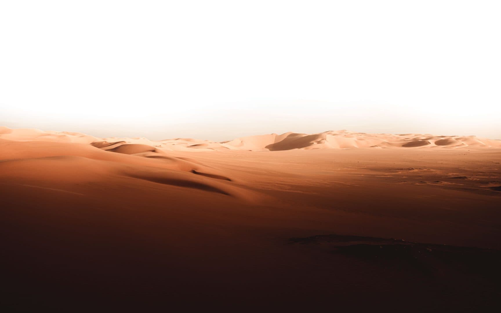 FOTO- 49 de morți în Sahara după ce au rămas fără apă. Ce au găsit autoritățile la fața locului