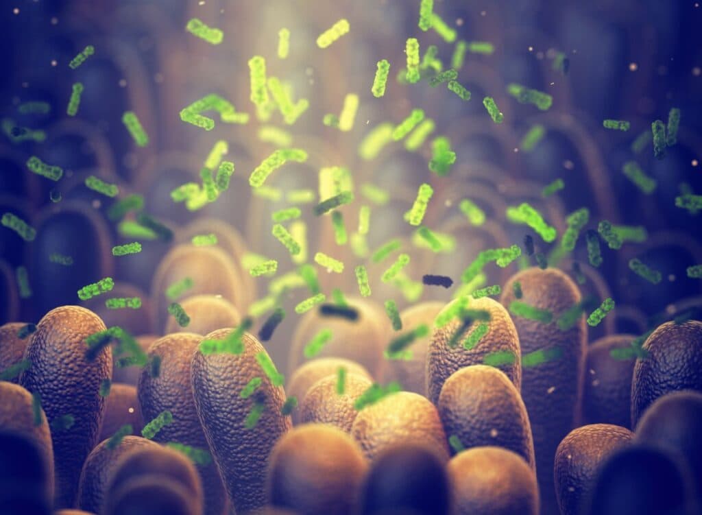 Cercetătorii au creat o bacterie capabilă să distrugă tumorile de la interior