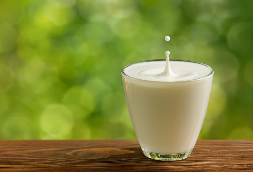 Test de cultură generală. De ce laptele trebuie pasteurizat?