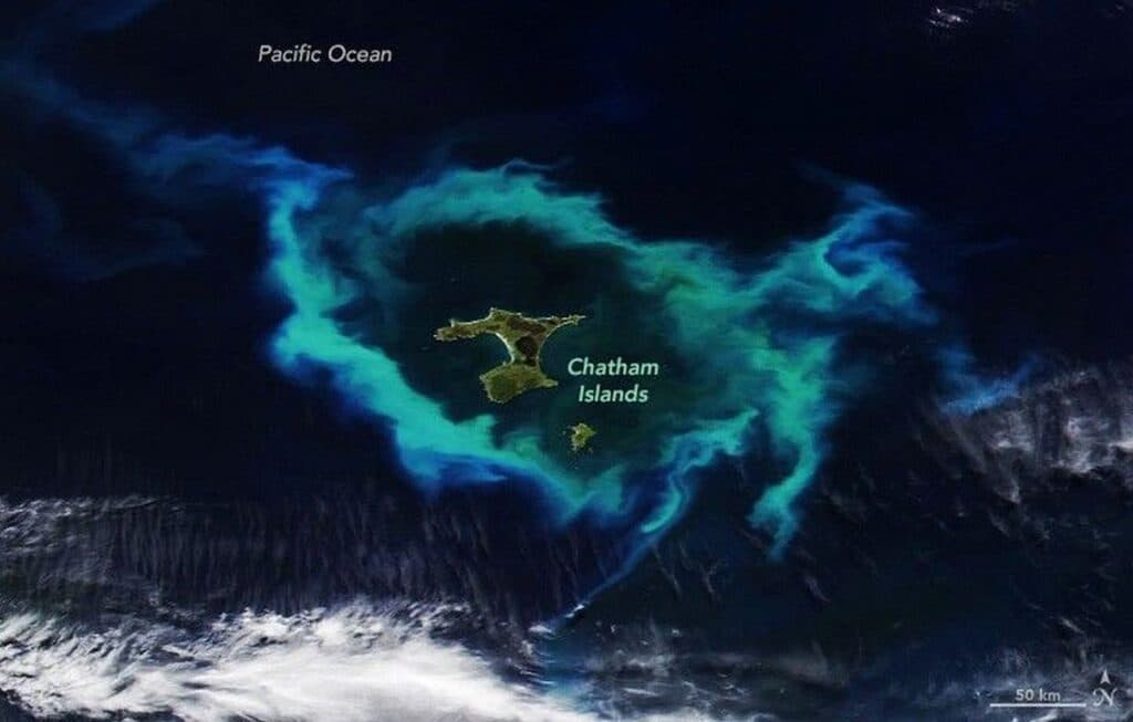 Un inel uriaș de plancton care înconjoară mai multe insule din Oceanul Pacific, observat din satelit