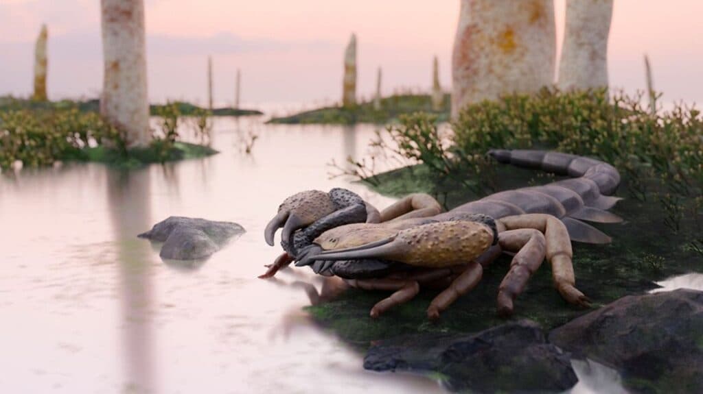 Cercetătorii au descoperit cel mai mare scorpion care a trăit vreodată. Acesta era cât un câine!