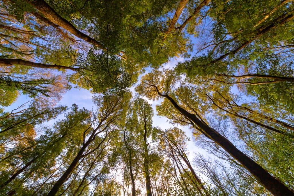 Avertisment: Ce s-ar întâmpla dacă Marea Britanie ar renunța la angajamentele climatice?