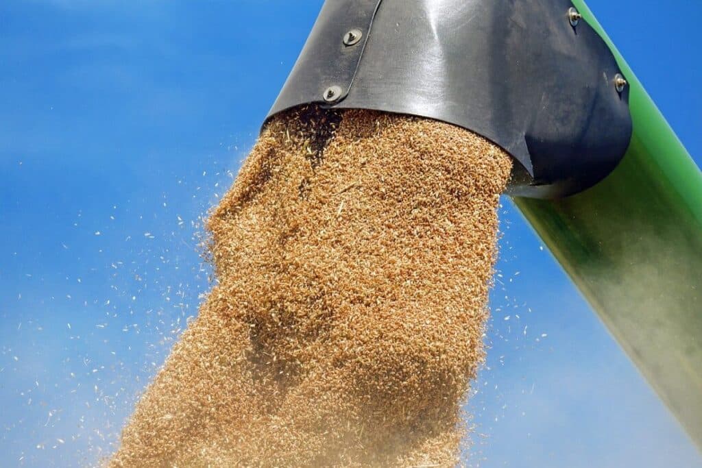 ANSVSA: discuții privind extinderea exporturilor agroalimentare românești în China