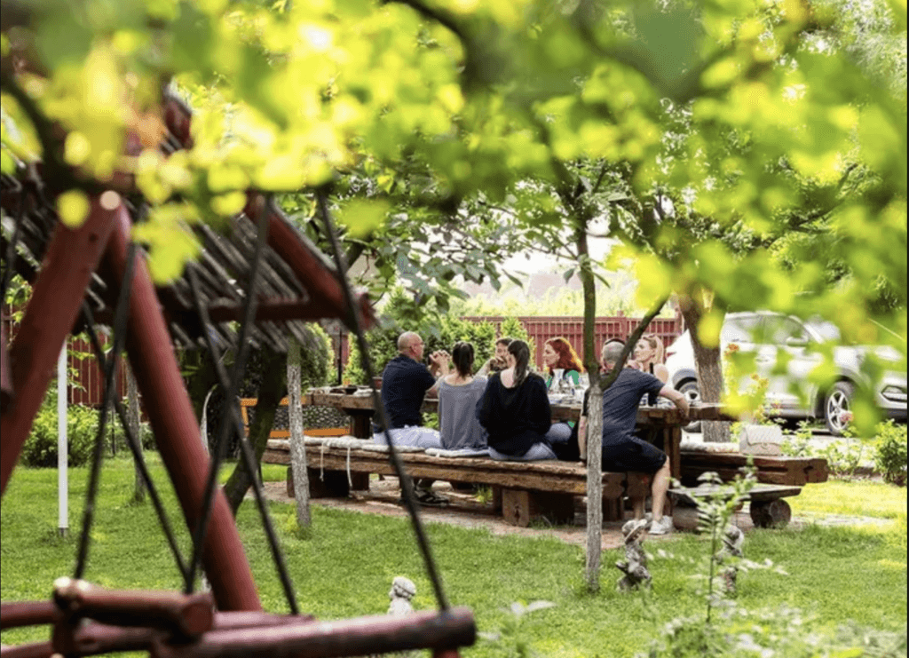 Banatul, desemnat Regiune Gastronomică Europeană în 2028. Ce le oferă zona turiștilor?