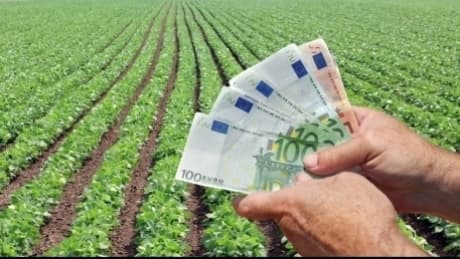 Ce rezultate au avut anul trecut cei mai mari latifundiari ai țării. Clasament