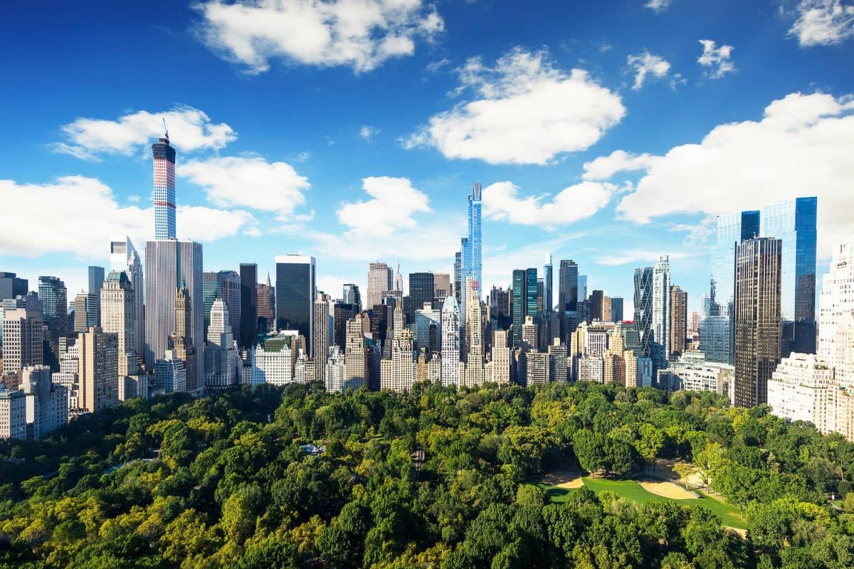 Un tânăr de 18 ani a murit într-un accident de trăsură în Central Park / Primarul orașului New York vrea să oprească circulația trăsurilor pentru „bunăstarea cailor”
