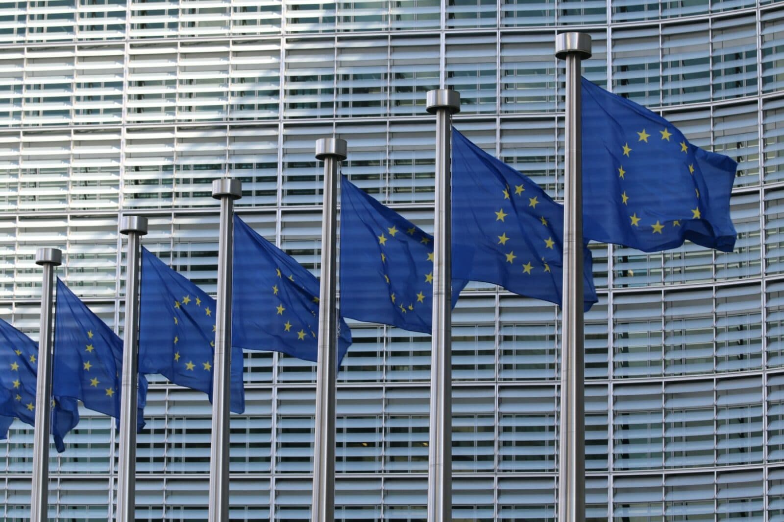 UE ar trebui să renunțe la regula unanimității în luarea deciziilor sale, afirmă șeful diplomației germane
