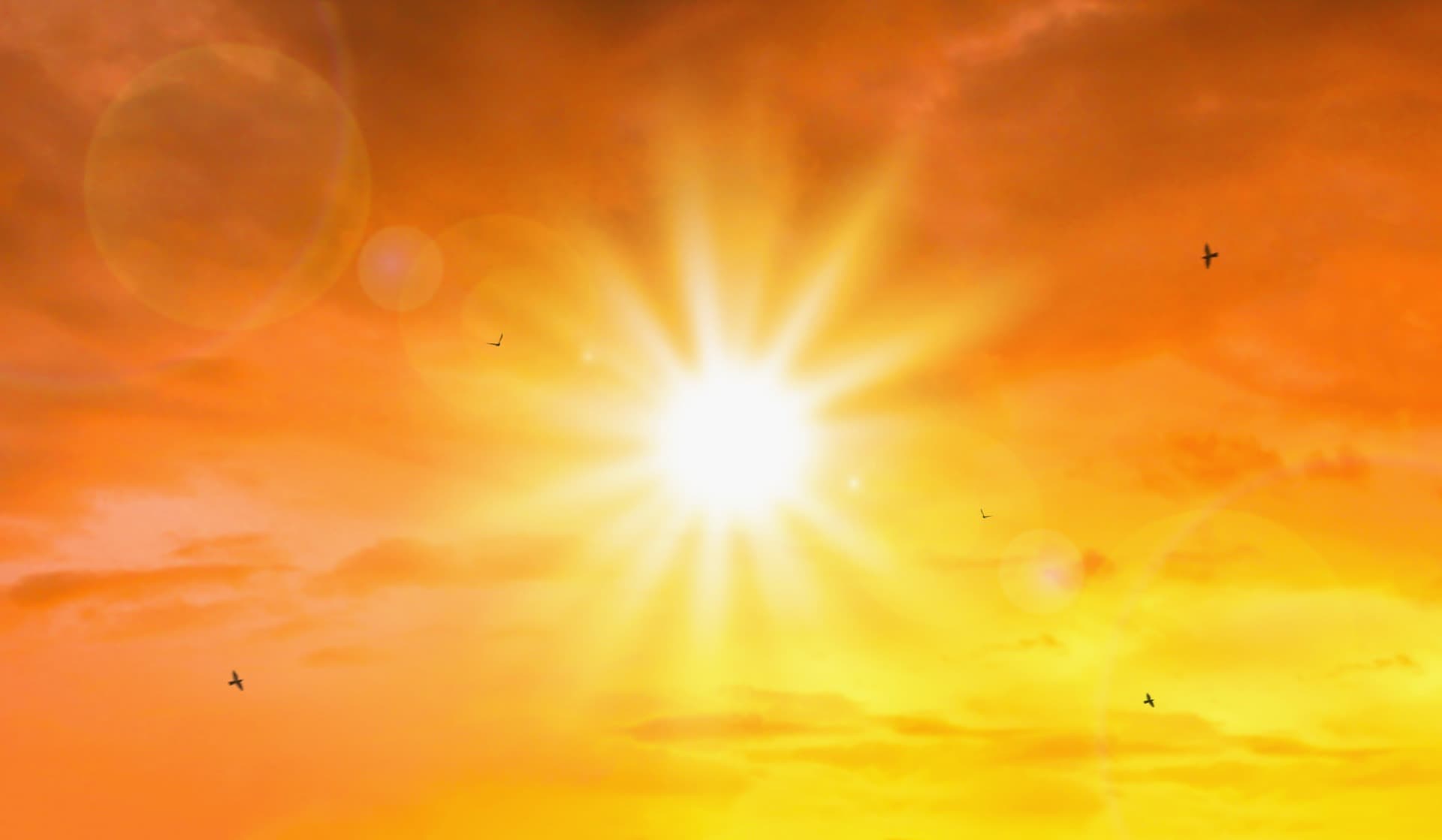 Temperaturi de până la 38 de grade Celsius în Portugalia