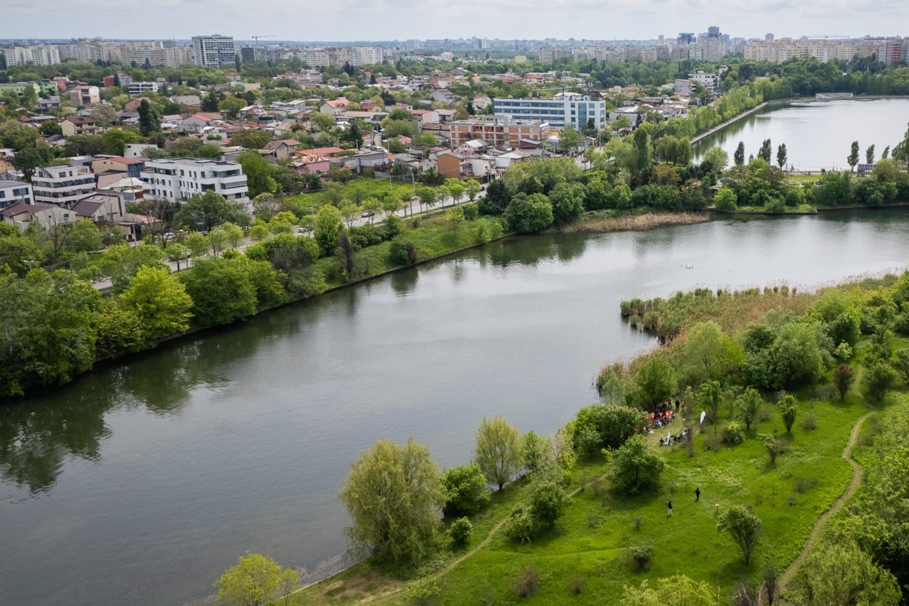 Ciprian Ciucu anunţă că vor fi extinse pajiştile urbane cu flori de câmp în București