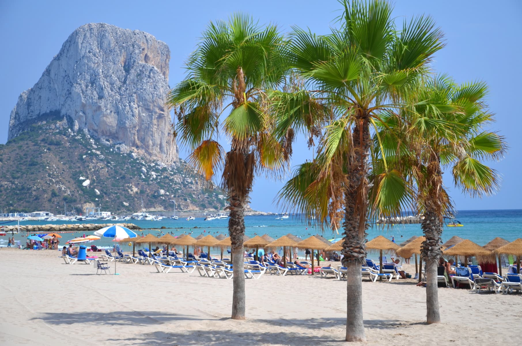 Avertisment pentru turiști: ”Vibrio vulnificus”, bacteria care poate provoca infecții grave, se extinde pe plajele Europei
