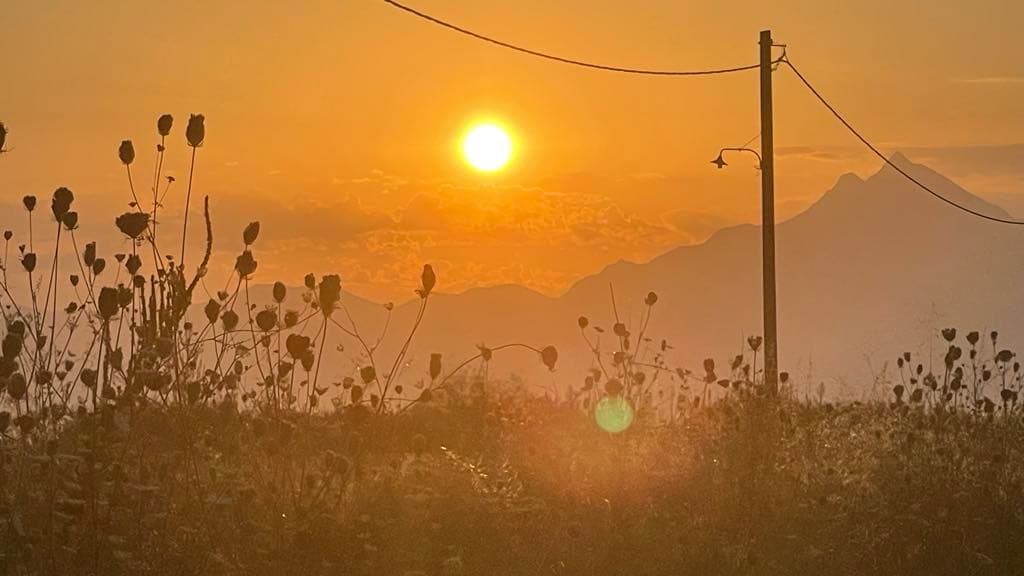 Valul de căldură din iulie ameninţă să ţină preţurile la energie electrică la un nivel ridicat