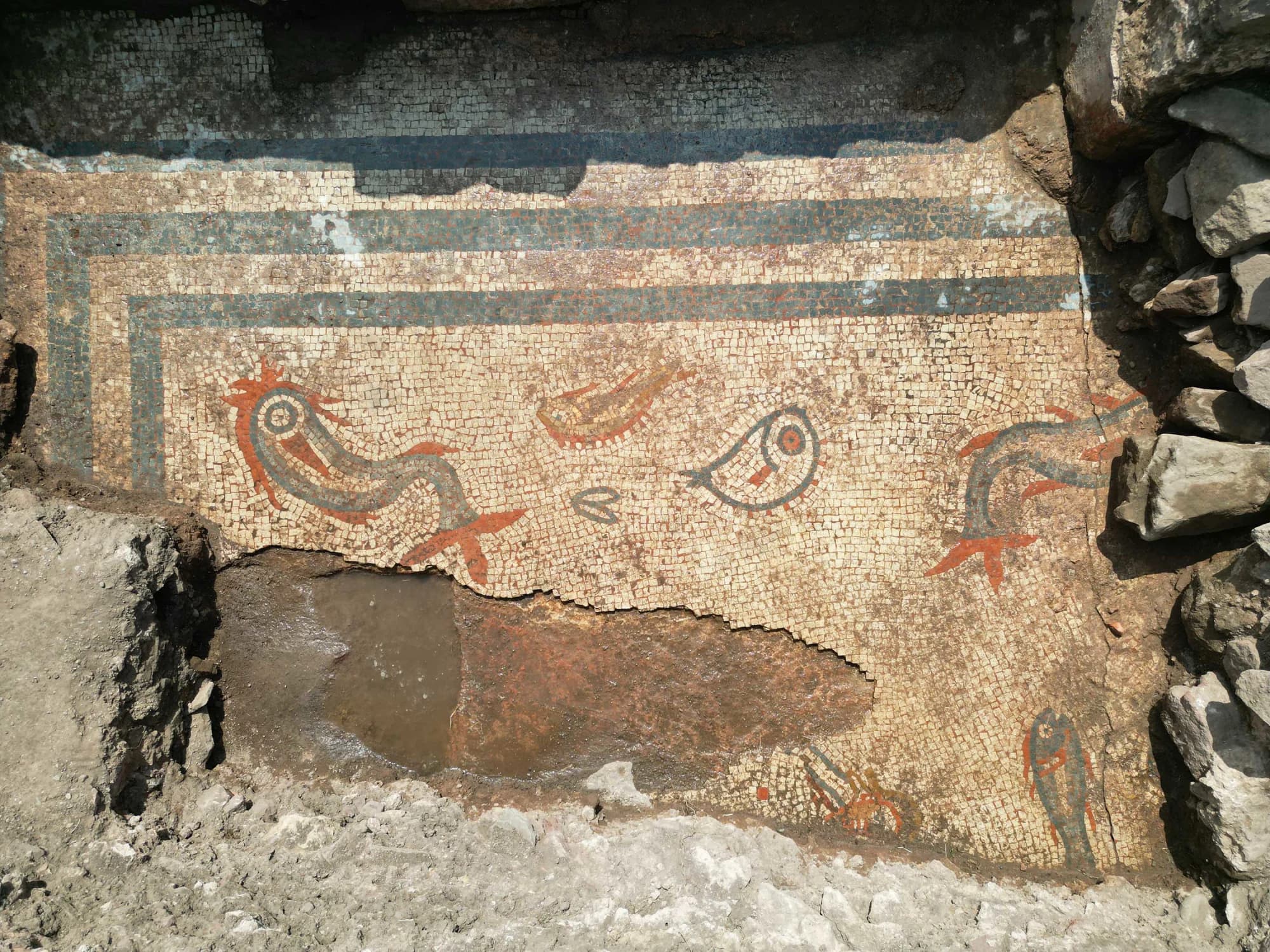 Vilă romană de lux, cu mozaicuri spectaculoase, descoperită în urma unor săpături ilegale în apropierea Romei