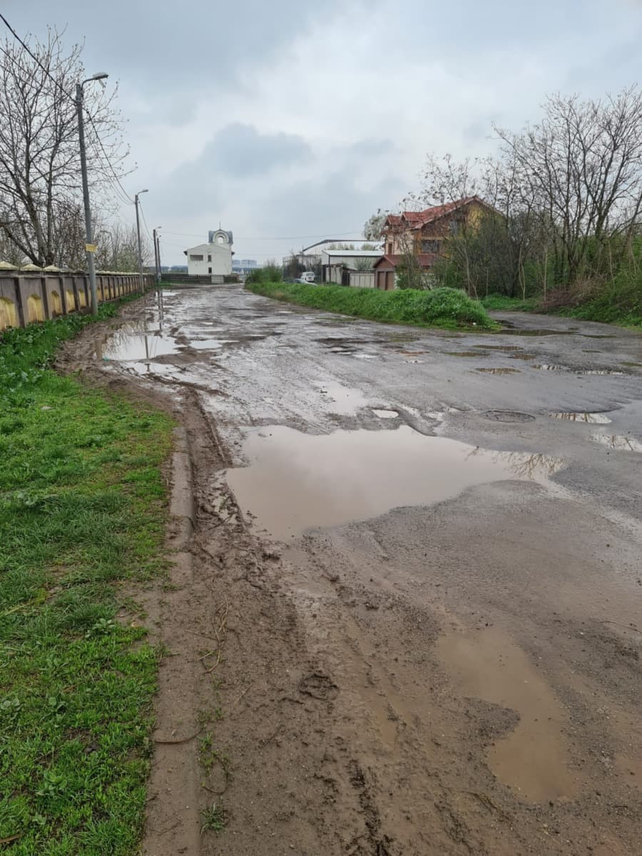 Municipalitatea va solicita Guvernului un teren de două hectare în Sectorul 5 pentru amenajarea unor spaţii verzi