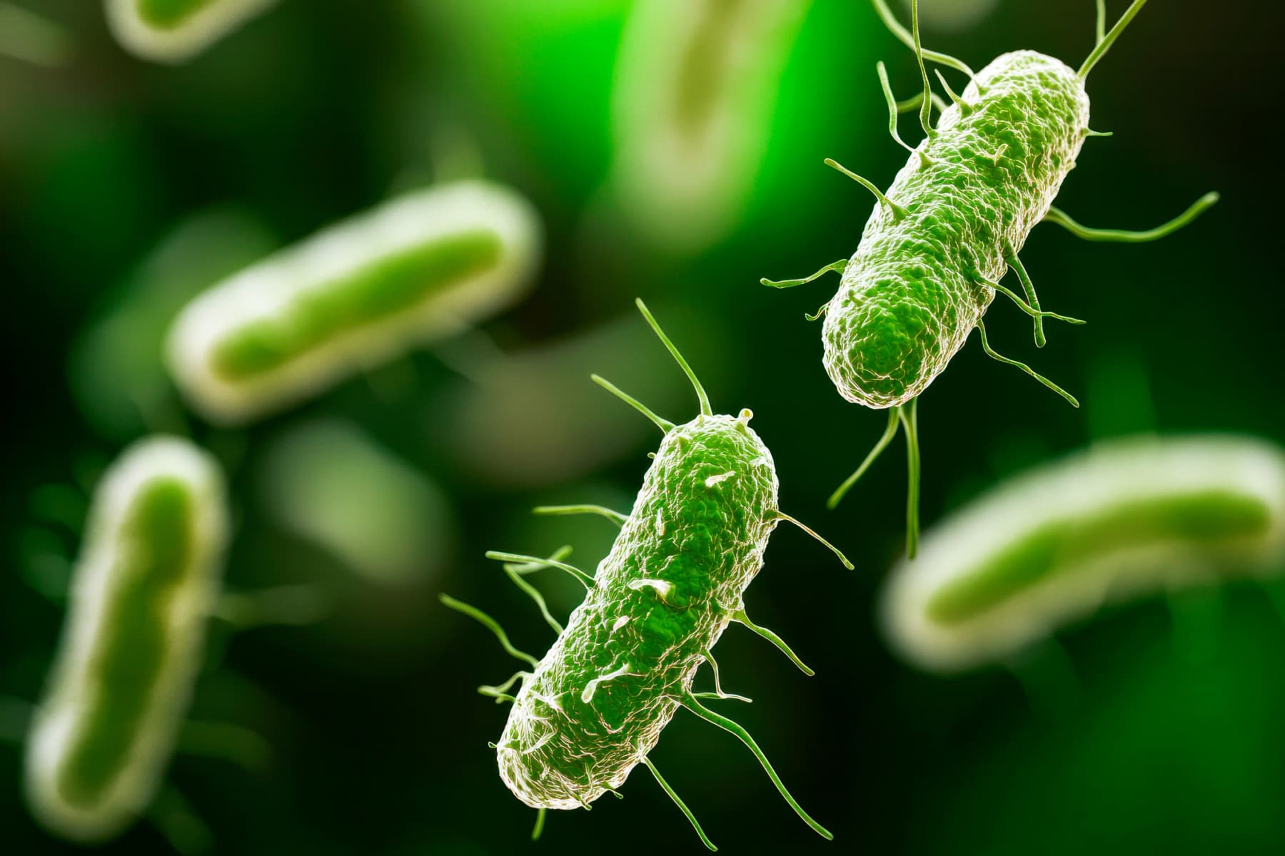 STUDIU: Terapia de stimulare a sistemului imunitar, promiţătoare în lupta împotriva infecţiilor bacteriene rezistente la medicamente