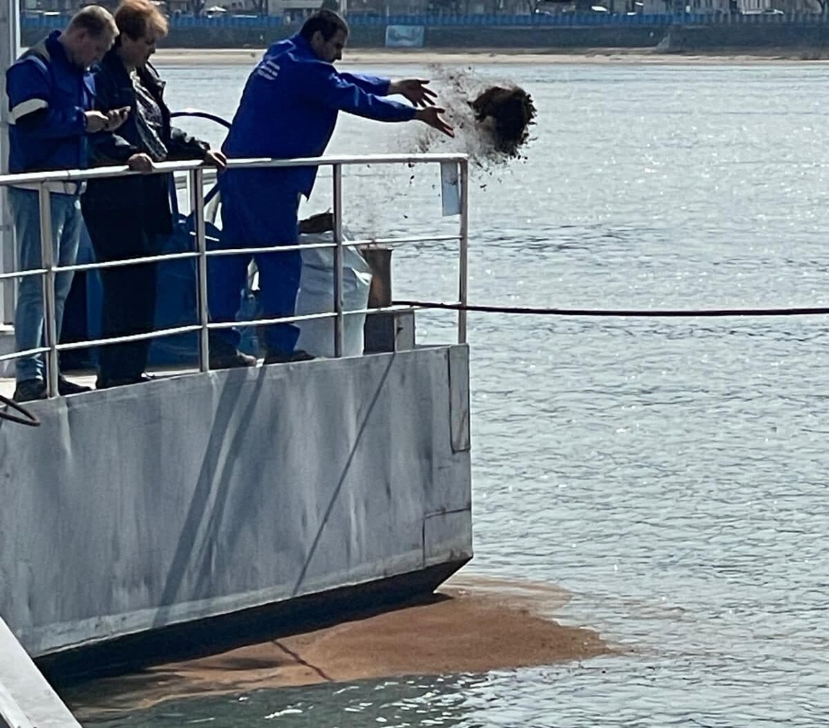FOTO Poluare accidentală pe fluviul Dunărea, în zona Turnu Măgurele / Alimentarea cu apă a orașului a fost oprită / Specialiștii de la Apele Române intervin la fața locului