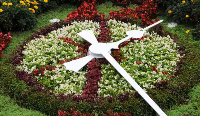 Ceasul floral din Timișoara intră în reabilitare completă după mai bine de 50 de ani / Construit în anii ’70, ceasul nu a fost nereabilitat niciodată capital