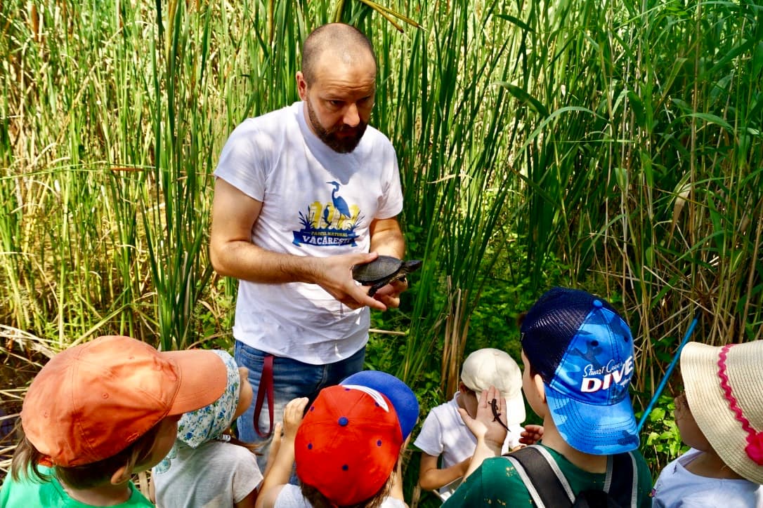 GALERIE FOTO | „Jurassic Park de pe Dâmbovița”: acces gratuit la 12 ore de natură sălbatică în mijlocul Bucureștiului. Parcul Natural Văcărești din sud-estul orașului împlinește 10 ani și invită oamenii la „Zi-le de natură!”