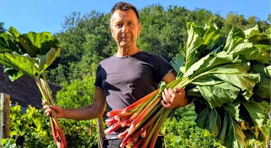 FOTO | Cum a ajuns un sociolog să cultive rubarbă într-un sat din Transilvania / Mircea Muntean: „Nu recomand nimănui să înceapă doar pentru bani”. „Am făcut și vin, și bere, și chipsuri din rubarbă” / De ce nu poate fi cultivată oriunde