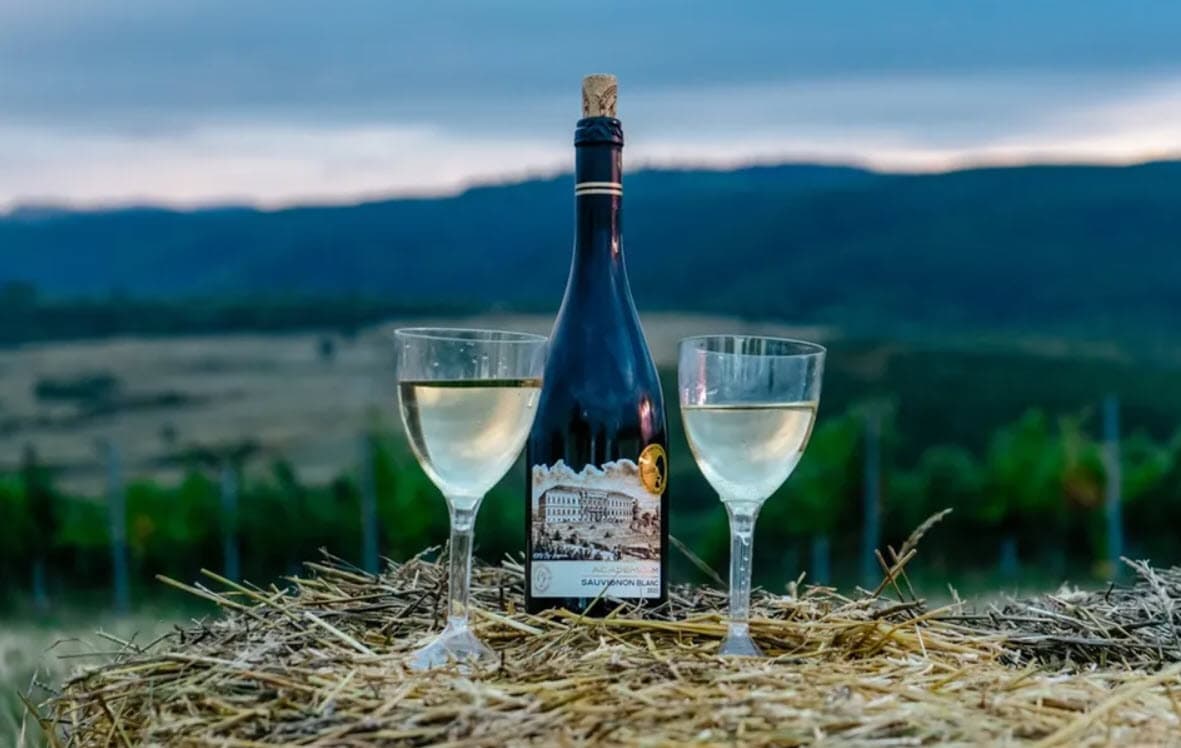 Apoldia Maior, laboratorul viticulturii transilvănene / Cum vrea USAMV Cluj să transforme stațiunea într-un reper pentru vinul românesc