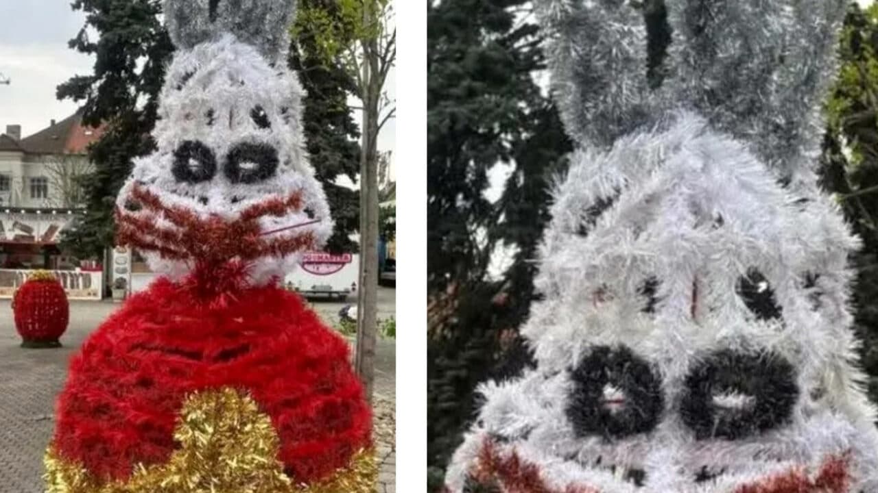 Iepurași cu aspect horror, montați în centrul Municipiului Baia Mare. Ce spun localnicii
