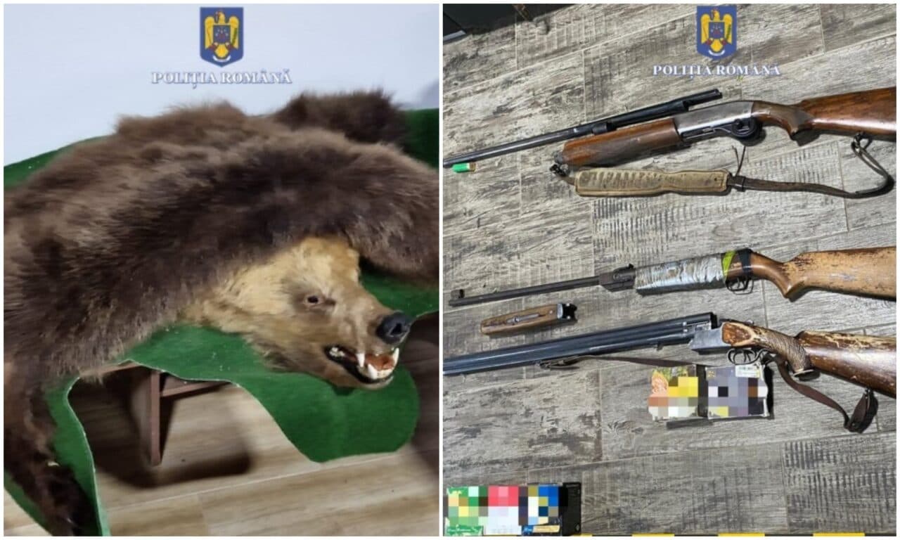 Dosar cu acuzații grave de braconaj care vizează afaceriști de top din Bihor. 13 persoane trimise în judecată. Prejudiciu de peste 90.000 de euro