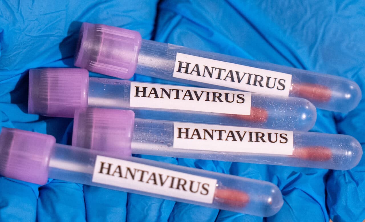 Românul testat pozitiv la hantavirus și internat la Arad locuia singur, în mizerie, înainte să ajungă la spital
