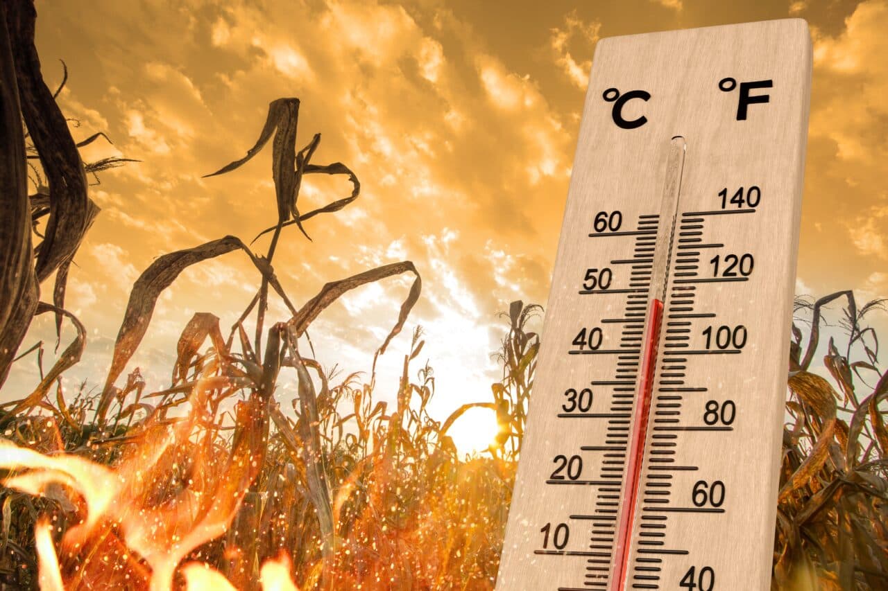 Weekendul vine cu temperaturi aproape caniculare, dar și cu mari surprize. Predicții meteo de ultimă oră de la ANM