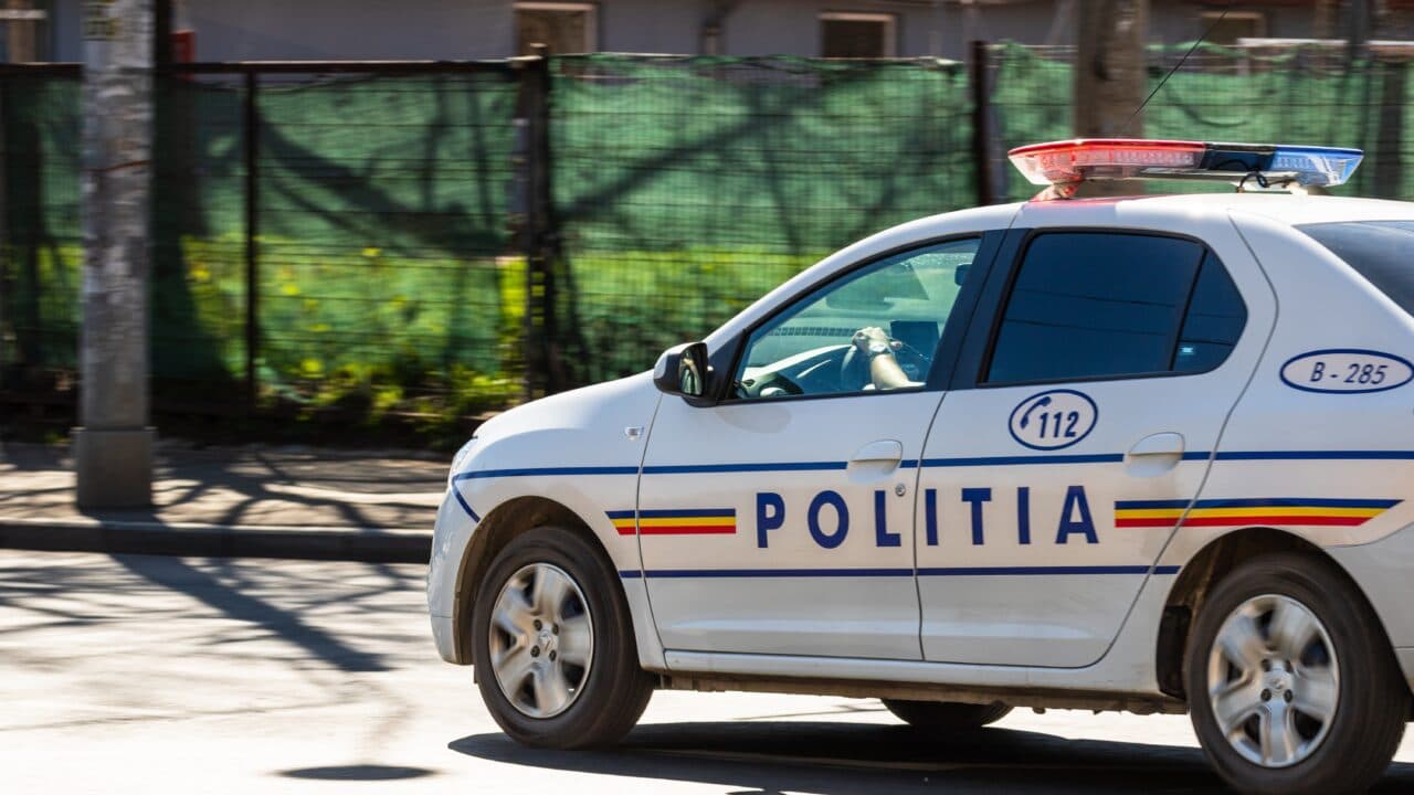 Un medic stomatolog și 2 polițiști din Timiș sunt cercetați după ce au împușcat animale sălbatice cu arme deținute ilegal. Ce spun anchetatorii