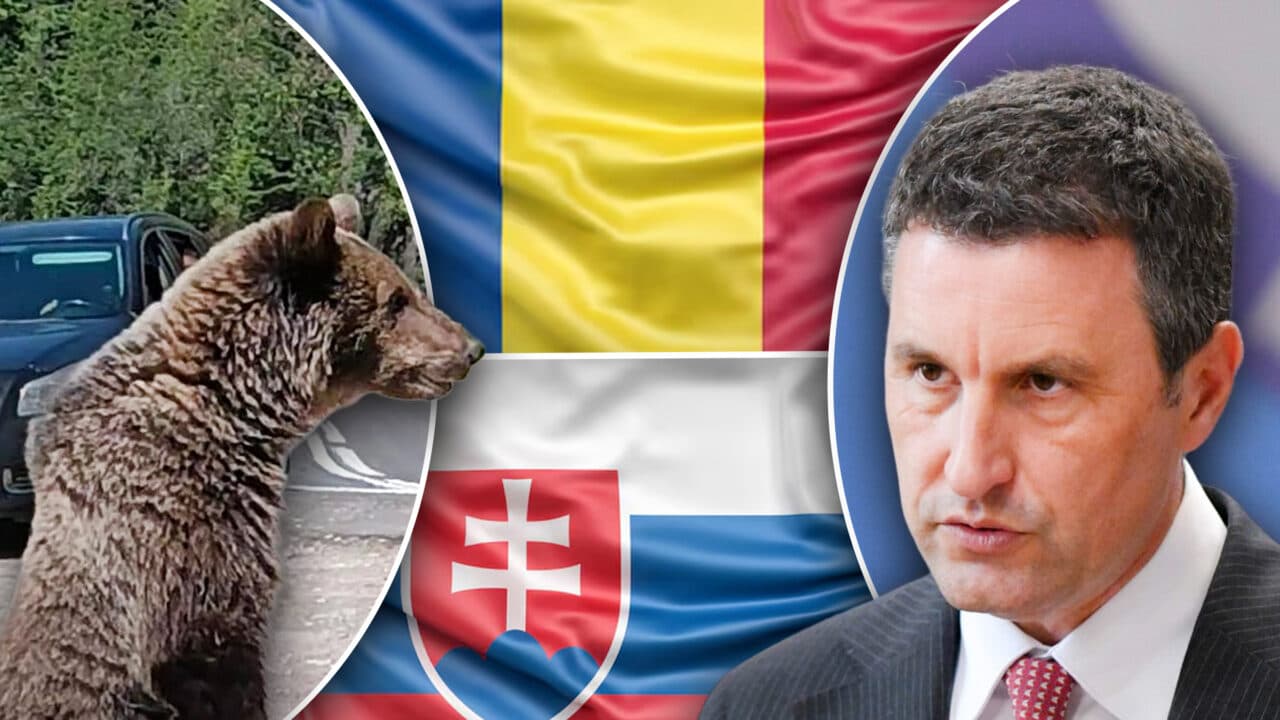 Tanczos Barna anunță că 12 state UE sprijină inițiativa României și a Slovaciei de reglementare a statutului ursului brun