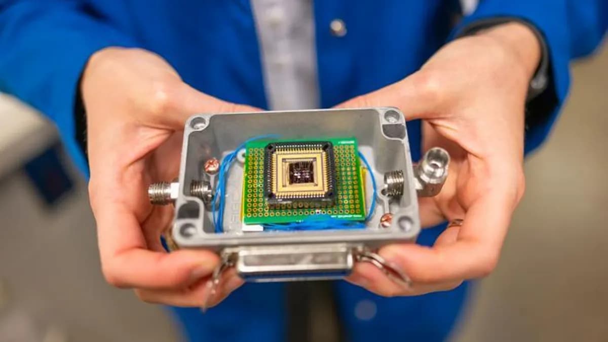 „Nasul electronic” poate detecta alergenii și alimentele alterate. Cercetătorii obțin rezultate promițătoare