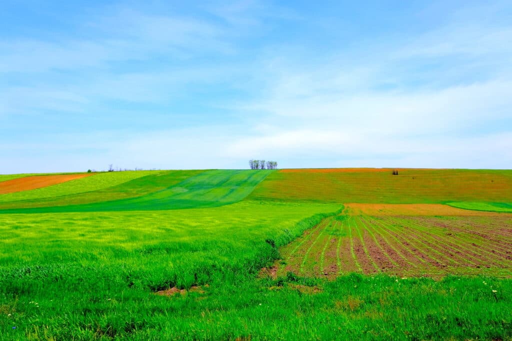 Ucrainenii, îngrijorați că integrarea în UE va înăspri cerințele din sectorul agricol