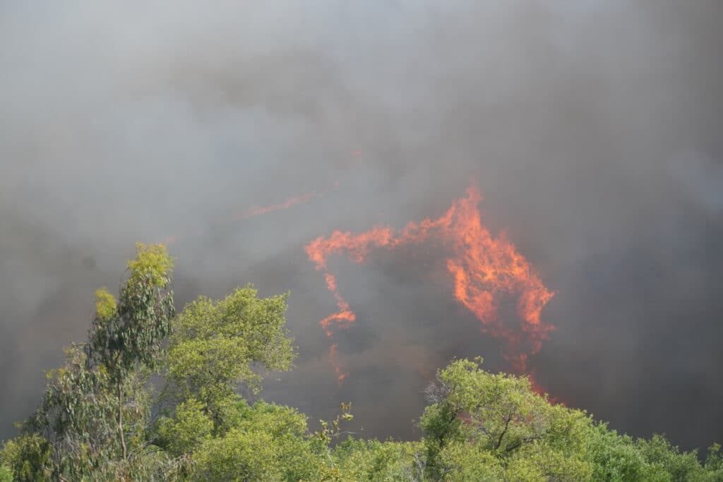 Alertă de nivel 2 în Spania, în urma unui incendiu de vegetație care a ars 330 de hectare. Mai mulți oameni sunt evacuați