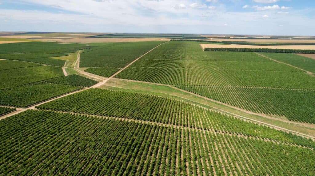 Producția de vin în România, între tradiție și inovație