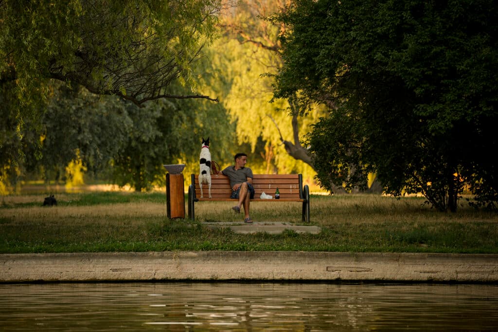 Procesul pentru zona retrocedată din Parcul IOR se amână din nou. Dosarul va fi trimis la un alt complet al Tribunalului București