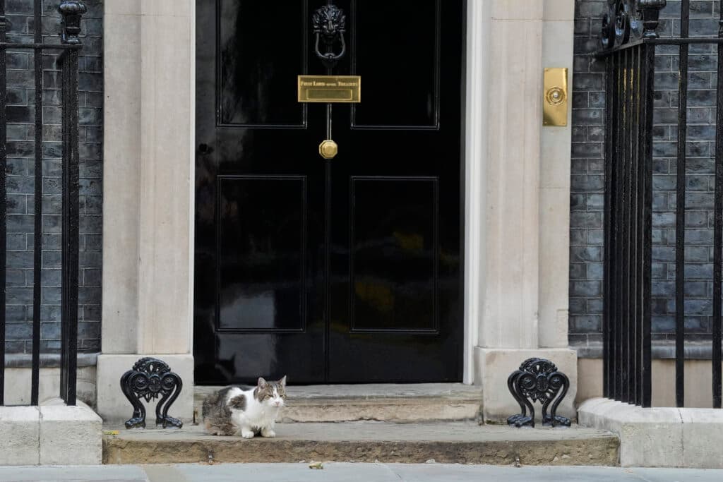 Mai rezistent decât premierii britanici. Larry, motanul de la Downing Street, bifează încă un mandat